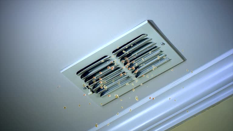 Best Ventilation Cleaning Services  in Alameda, CA